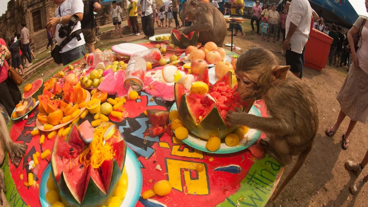 monkey buffet festival