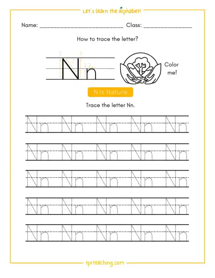 Write the letter N