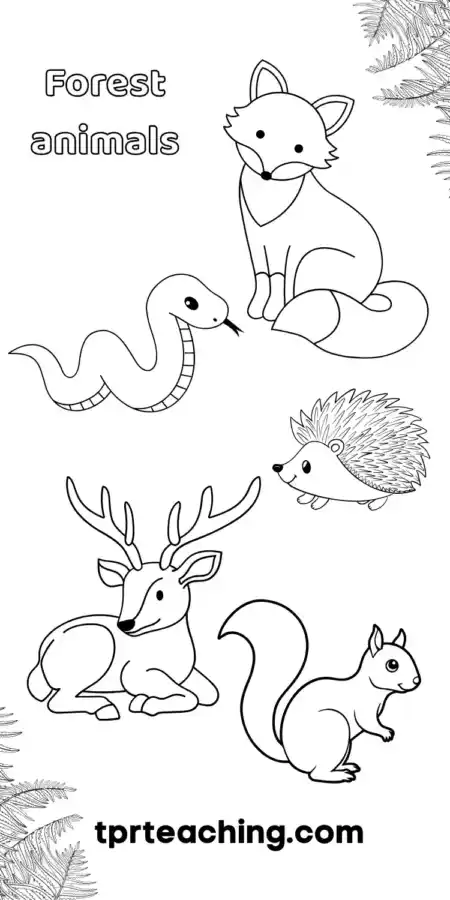 animals in the forest coloring